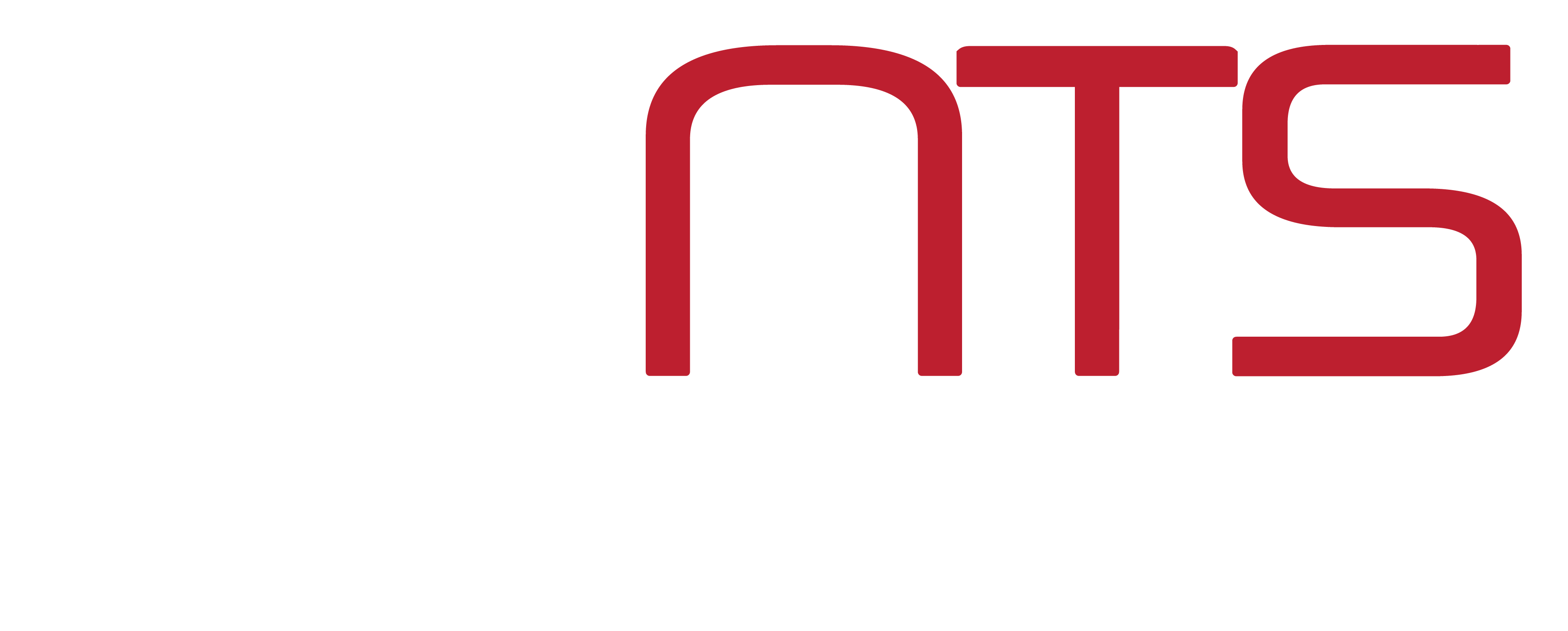 NeTTronix Technology Solutions